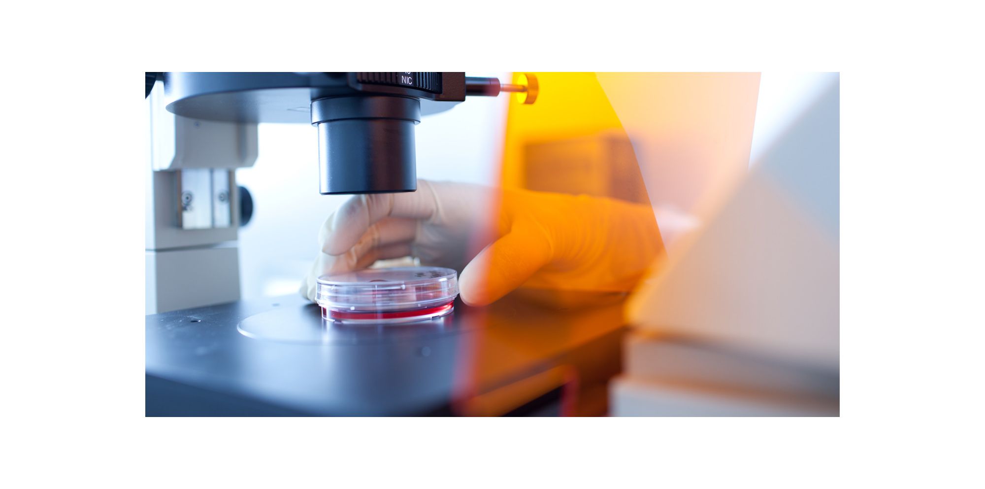 Labs and Centers